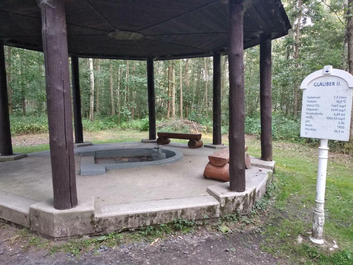 Apartments Ceska Františkovy Lázně Exteriör bild
